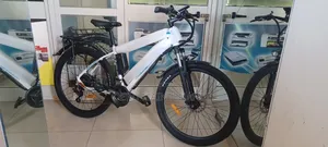 Electric Mountain Bike