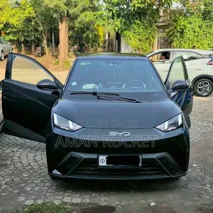 BYD Seagull 2024 Black