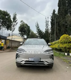 BYD Song Plus 2024 Beige