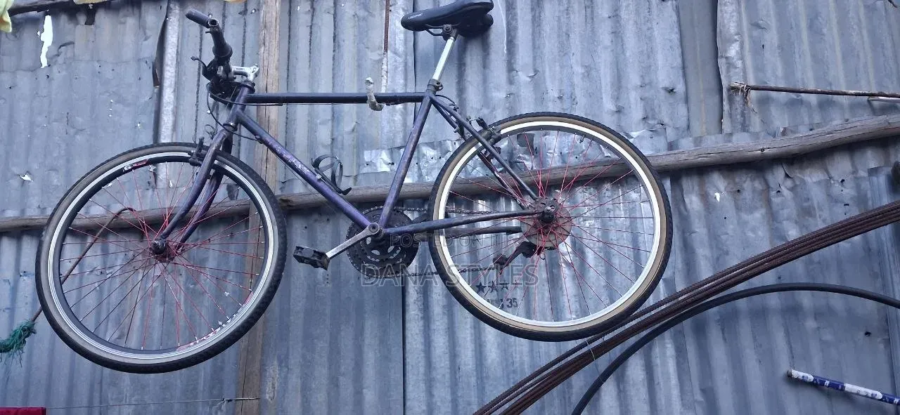Bicycle ሳይክል