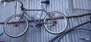 Bicycle ሳይክል