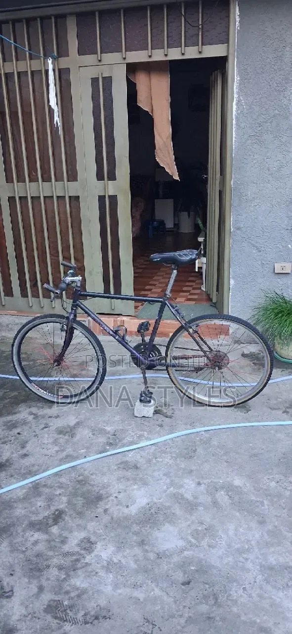 Bicycle ሳይክል