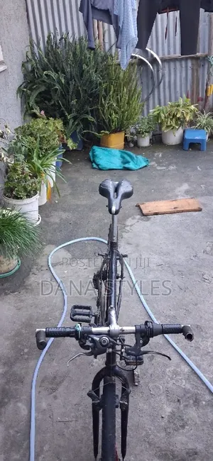 Bicycle ሳይክል