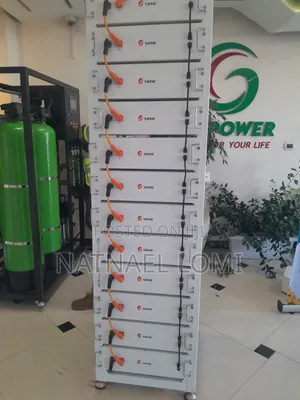 Lithium Ion Phosphate Battery