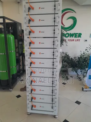 Lithium Ion Phosphate Battery