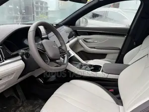 New BYD Song Plus DM-i 2025 Gray