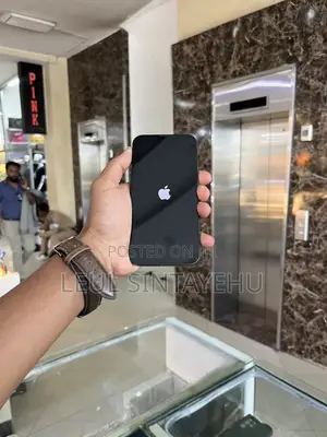 Apple iPhone 13 256 GB Green