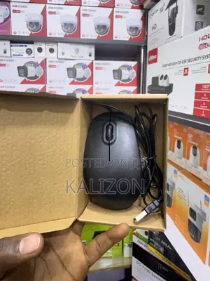 የኮምፒውተር መዳፊት (የገመድ ማውስ) Standard USB Wired Mouse