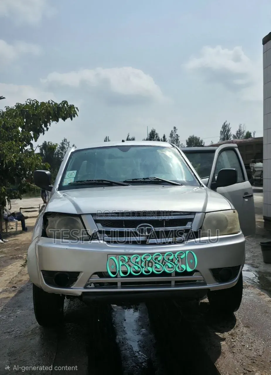 Tata Xenon 2012 Silver