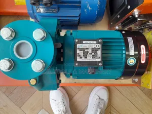 Leo Water Pump 5.5hp (Old Model)
