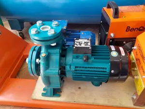 Leo Water Pump 5.5hp (Old Model)