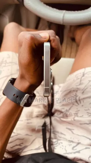 Apple iPhone 15 Pro Max 256 GB