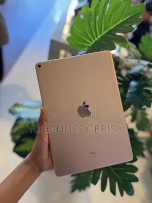 Apple iPad Air 64 GB Silver