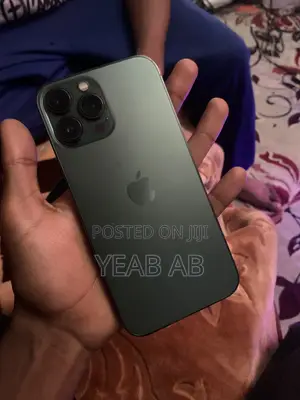 Apple iPhone 13 Pro Max 256 GB Gray