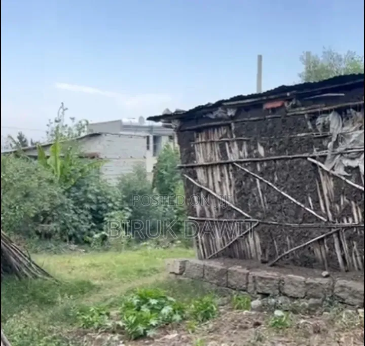 የሚሸጥ መሬት በቃሊቲ ቸራሊያ