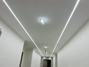 Light Electrician