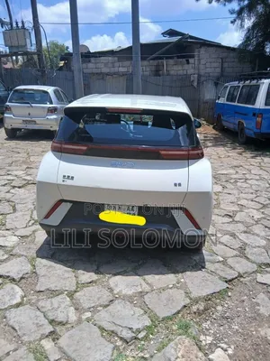 BYD Seagull 2025 White