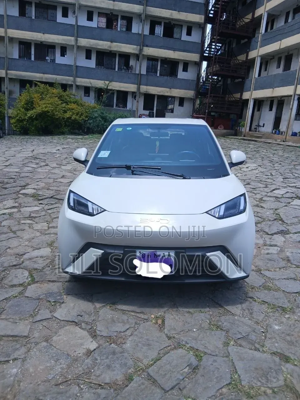 BYD Seagull 2025 White