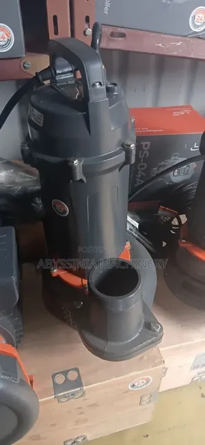 Water Pump Ethiopia LEO 3HP Water Pump