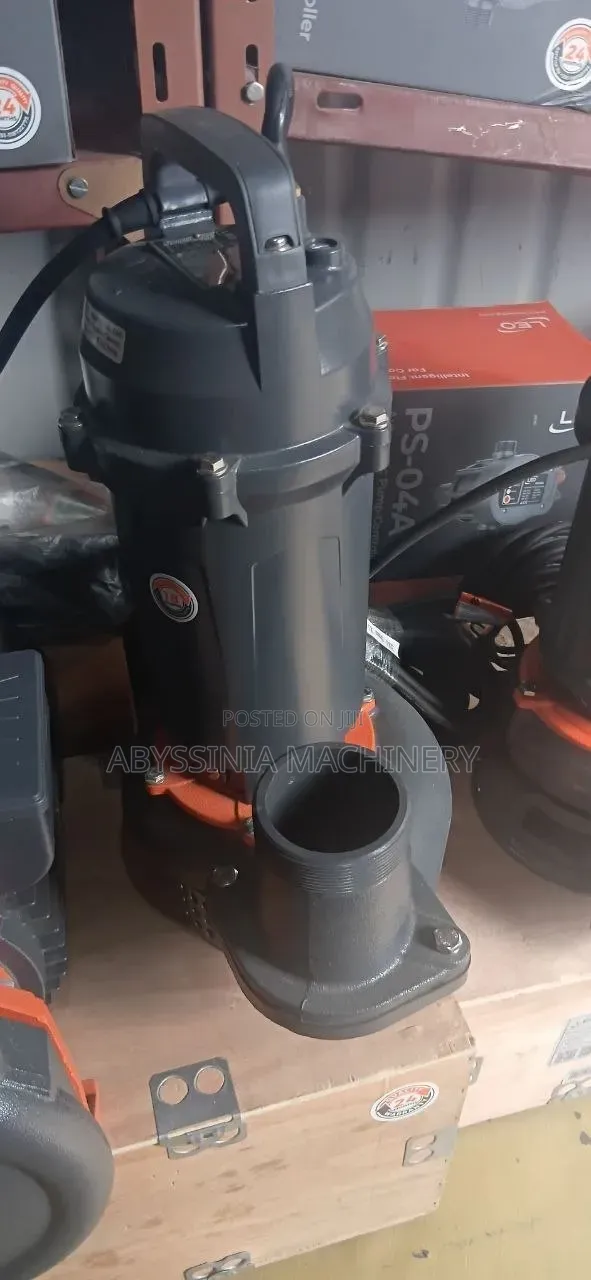 Water Pump Ethiopia LEO 3HP Water Pump