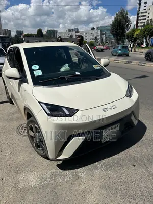 BYD Seagull 2024 White