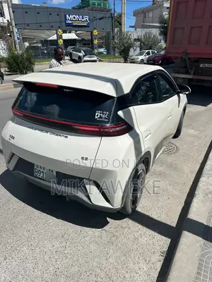 BYD Seagull 2024 White