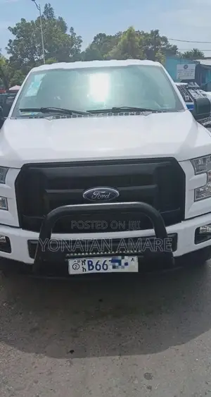 Ford F-150 2016 White