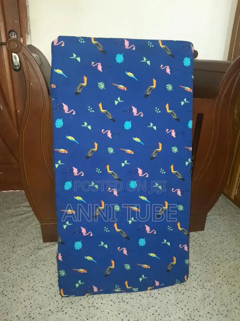 Kids Bed With Mattresses