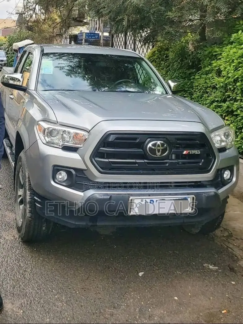 Toyota Tacoma 2020 Gray