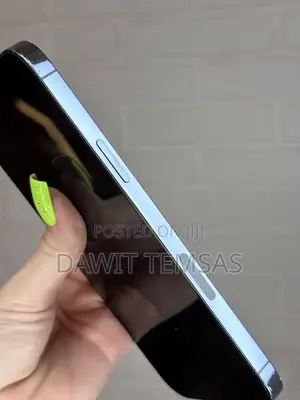 Apple iPhone 13 Pro Max 256 GB Blue