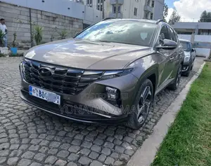 Hyundai Tucson 2022 Brown