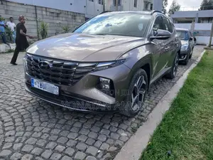Hyundai Tucson 2022 Brown