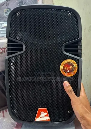 Skymax 10" Speaker