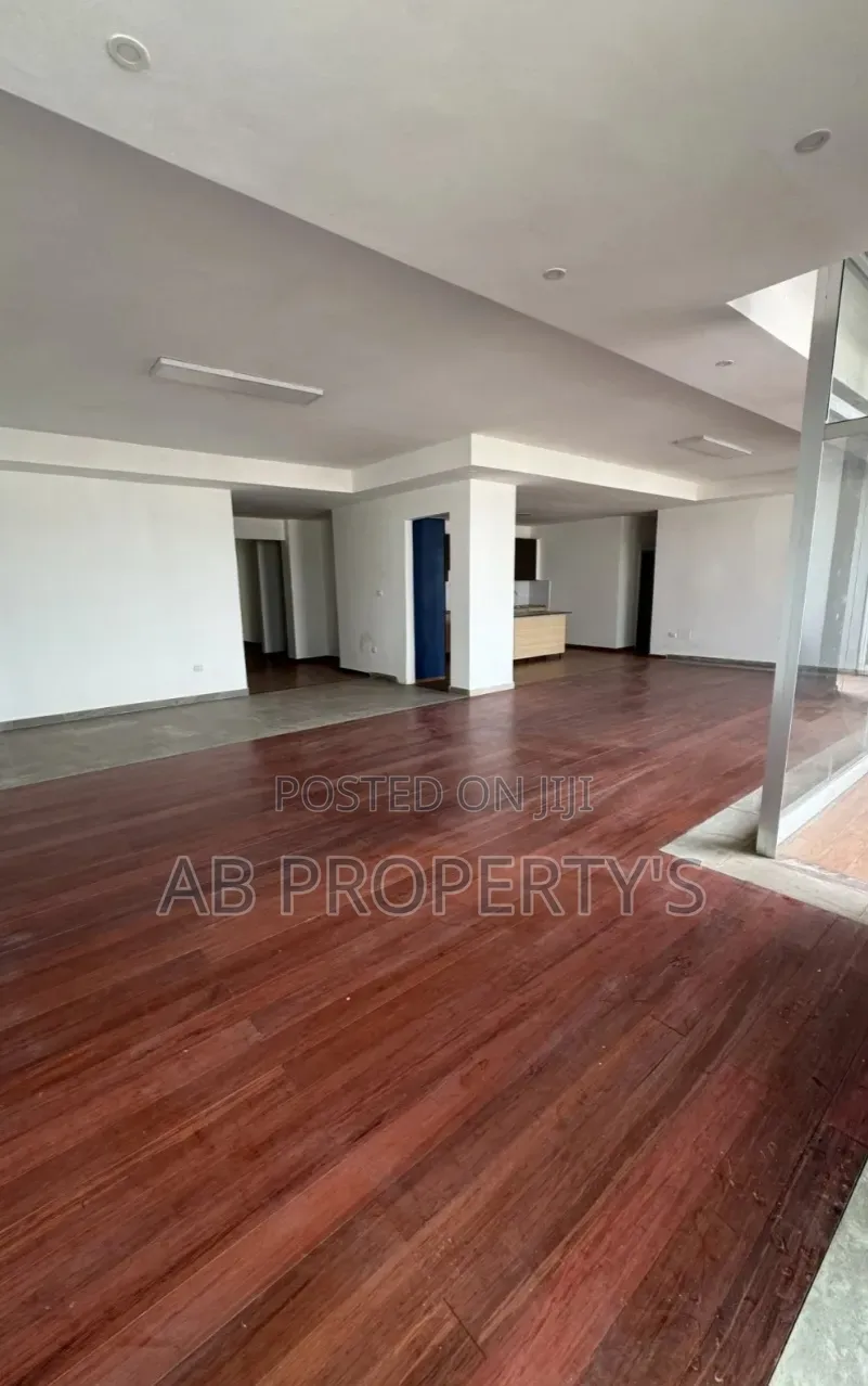 4bdrm Penthouse in Bole Atlas for sale