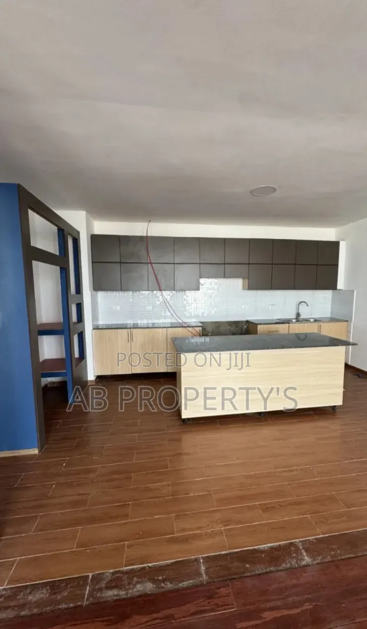 4bdrm Penthouse in Bole Atlas for sale