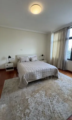 Furnished 3bdrm Apartment in Bole Atlas for sale