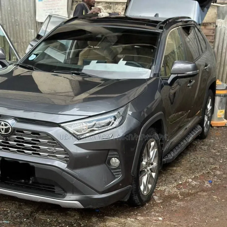 Toyota RAV4 2020 Gray