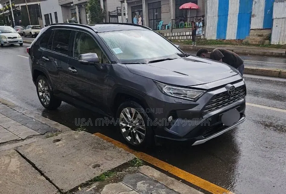 Toyota RAV4 2020 Gray