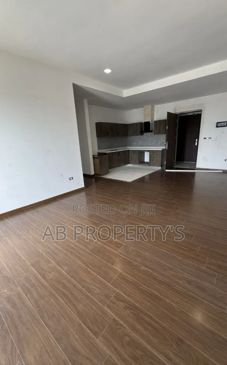 Furnished 3bdrm Apartment in Bole Wolo Sefer for sale