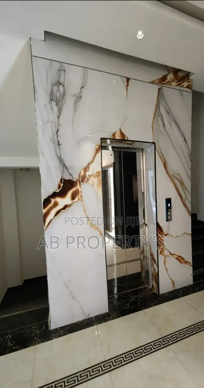 Furnished 3bdrm Apartment in Bole Olympia for sale