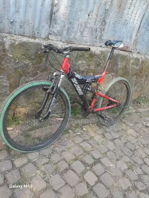 Bicycle Fore Adults