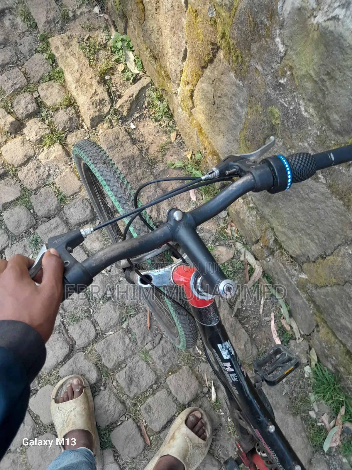 Bicycle Fore Adults