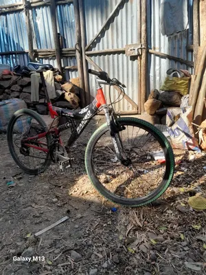 Bicycle Fore Adults