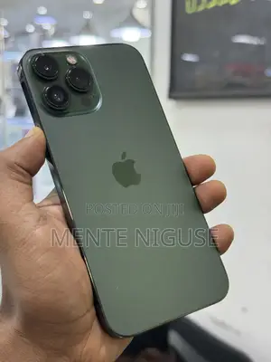 New Apple iPhone 13 Pro Max 256 GB Green