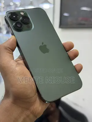 New Apple iPhone 13 Pro Max 256 GB Green