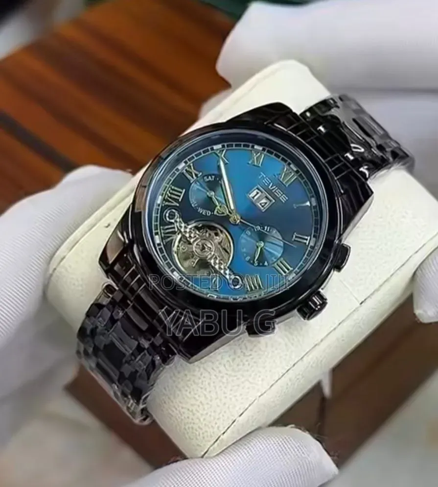 TEVISE Mens Mechanical Automatic Watch, Stainless