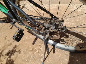 Poinnix Bick Goma Size 26