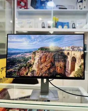 Dell Monitor 24inch