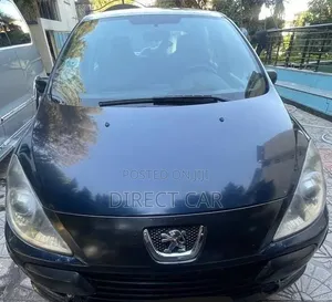 Peugeot 307 2008 Blue