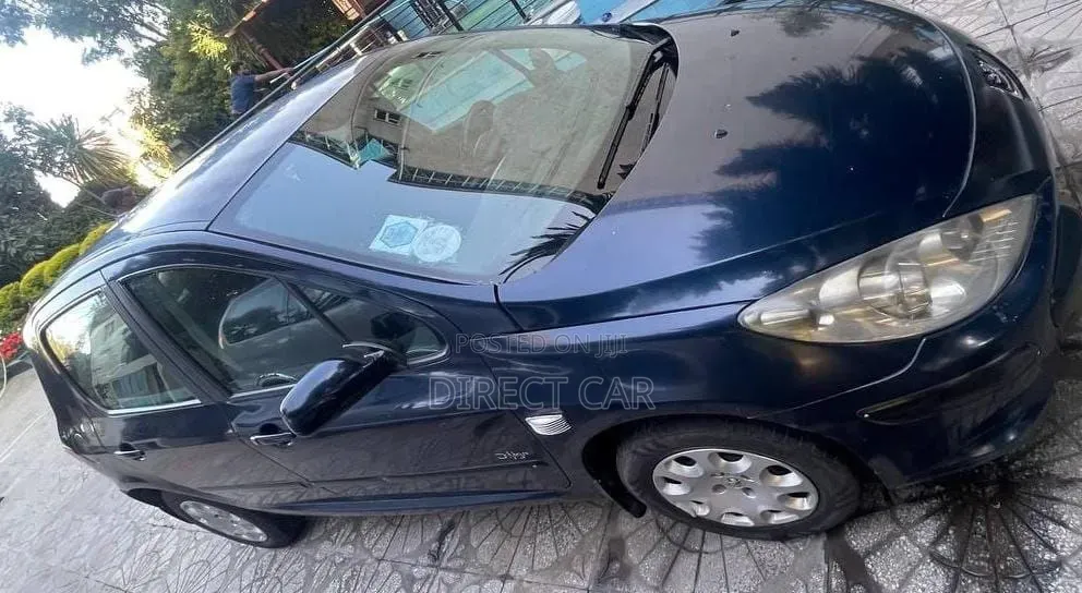 Peugeot 307 2008 Blue